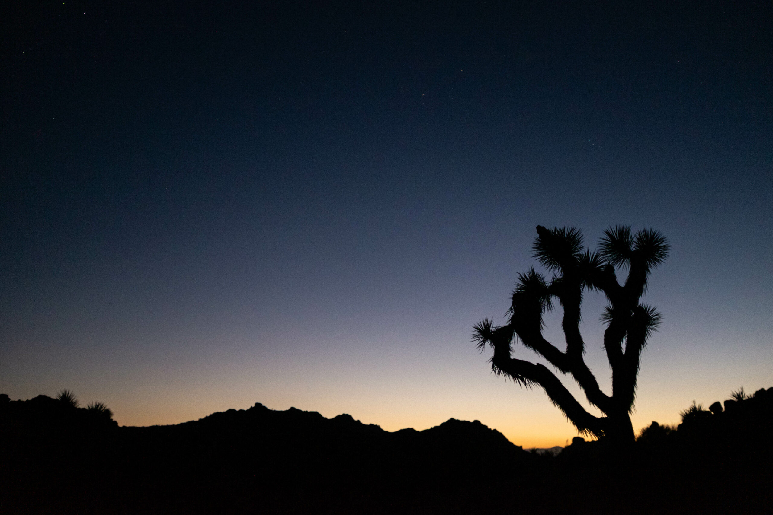 Trip Report: The Boy Scout Trail, the Maze Zone, and Indian Cove at Joshua Tree National Park